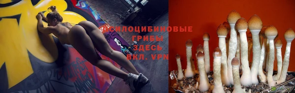 первитин Осташков