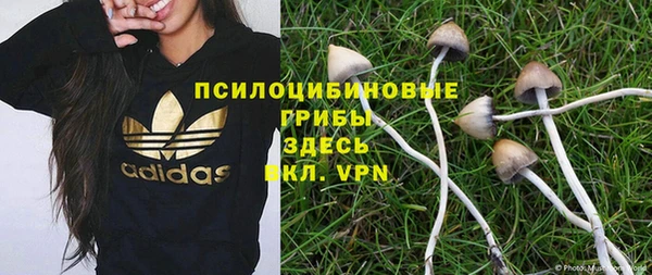 PSILOCYBIN Заволжск