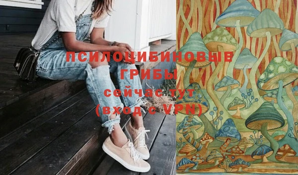 гашик Остров