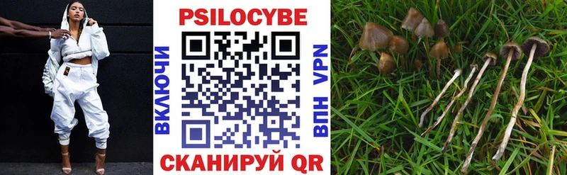 Галлюциногенные грибы Psilocybine cubensis  нарко площадка какой сайт  Кубинка 